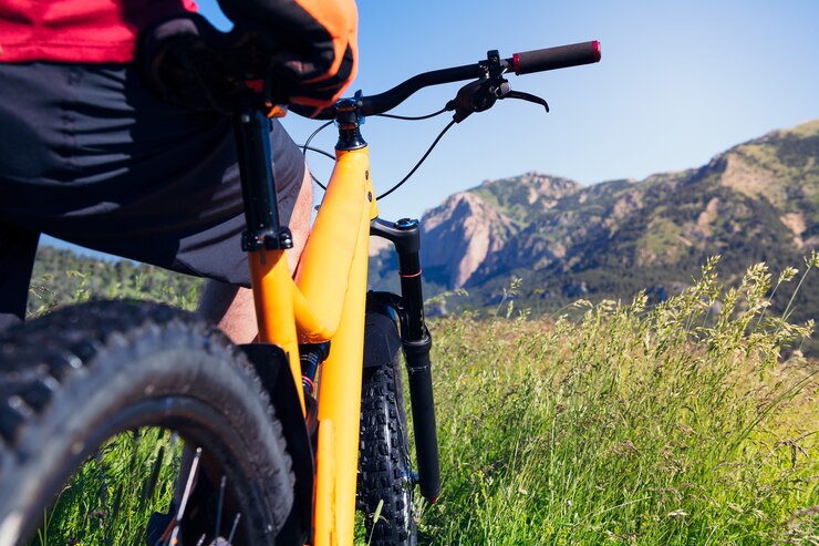 Uomo irriconoscibile con bici guardando le montagne