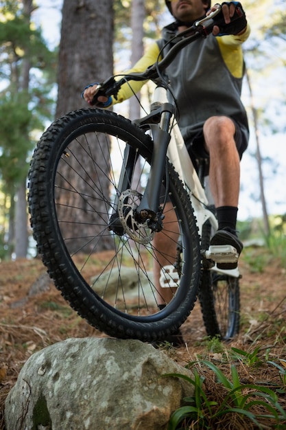 uomo maschio mountain bike in sella alla bicicletta nella foresta