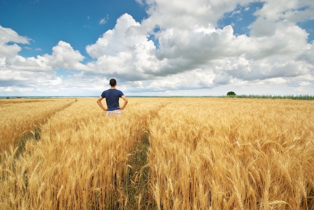 Uomo nel prato di grano giallo