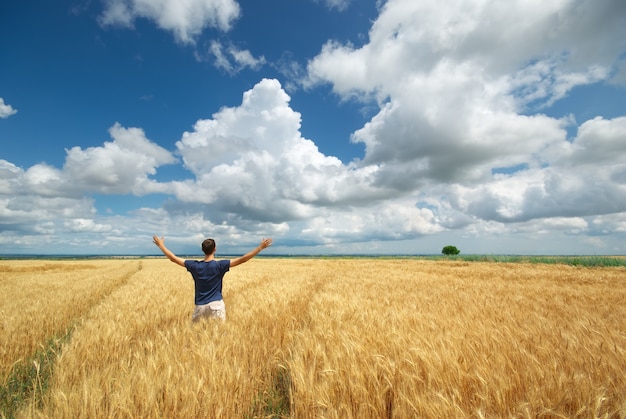 Uomo nel prato di grano giallo.