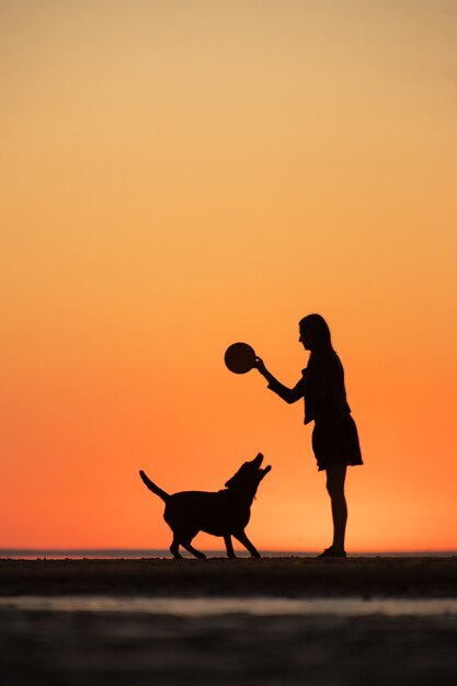 Uomo o donna che porta a spasso il cane al tramonto una passeggiata in riva al lago o al mare al tramonto