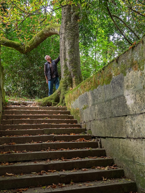 Uomo più anziano in cima a una scala di pietra che guarda gli alberi nella foresta in una giornata autunnale