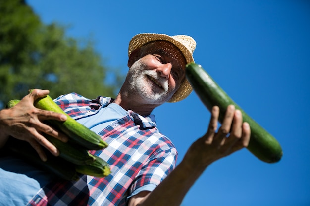 Uomo senior che tiene zucchini fresco in orto