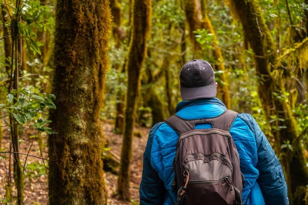 Uomo sul sentiero Garajonay del Parque Natural del Bosque a La Gomera Isole Canarie Sentiero di Raso de la Bruma e Risquillos de Corgo