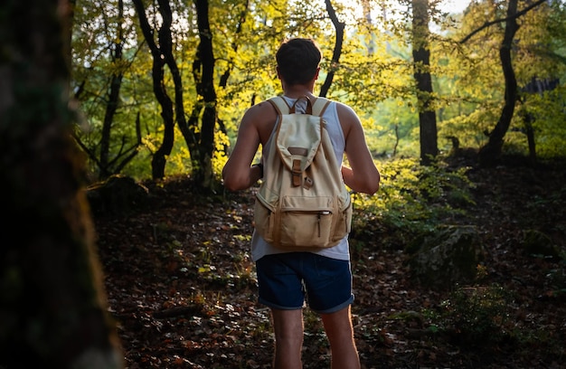 Uomo viaggiatore con zaino escursionismo all'aperto nella foresta di tramonto estivo