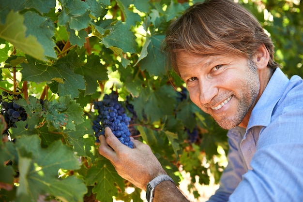 Uomo viticoltore e ritratto con uva in vigna per la crescita della stagione di raccolta e l'agricoltura in fattoria Imprenditore vinicolo e volto per la viticoltura e la produzione di frutta in natura