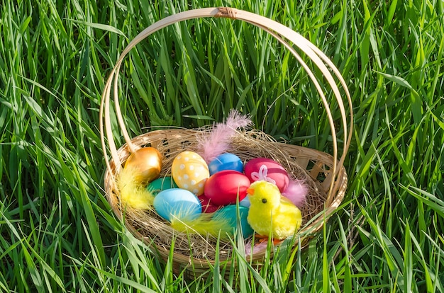 Uova colorate in un cesto con un pollo nell'erba sul prato