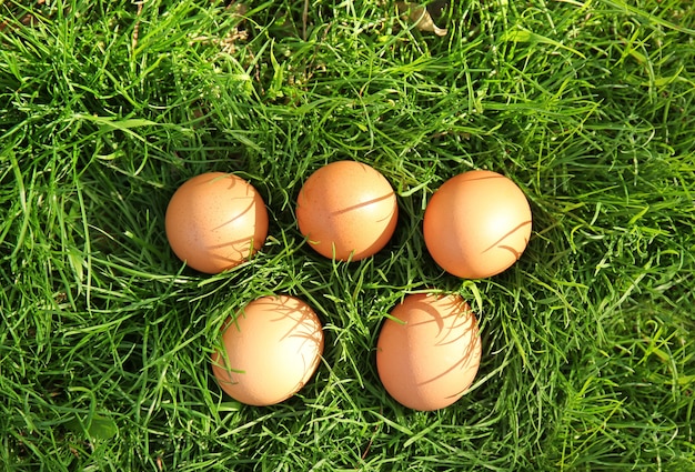 Uova crude sullo spazio dell'erba verde