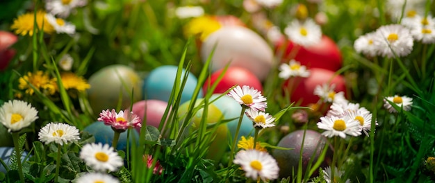 Uova della decorazione di Pasqua nel giardino all'aperto