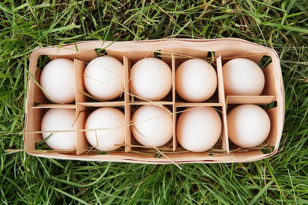 Uova di gallina bianca cruda fresca in una scatola di legno su erba verde