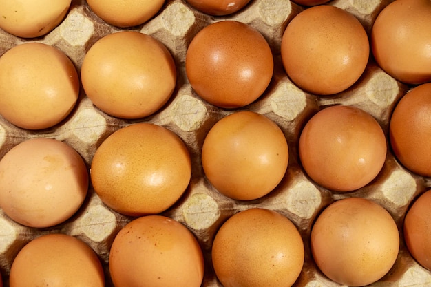 Uova di gallina crude in primo piano della scatola delle uova di cartone