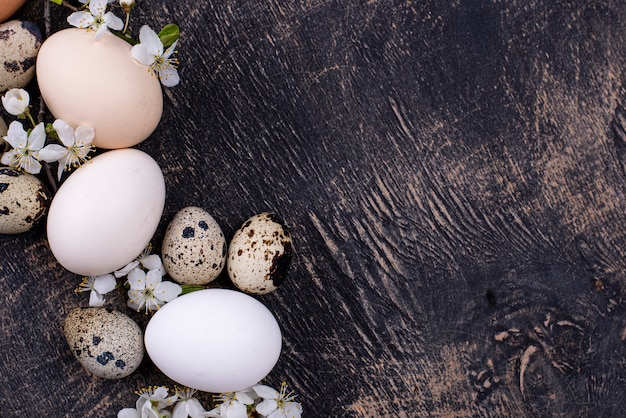 Uova di gallina e quaglia con ramo fiorito