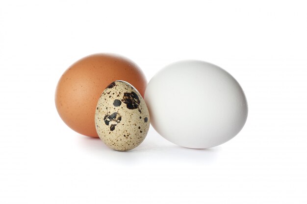 Uova di gallina e uovo di quaglia isolato su bianco