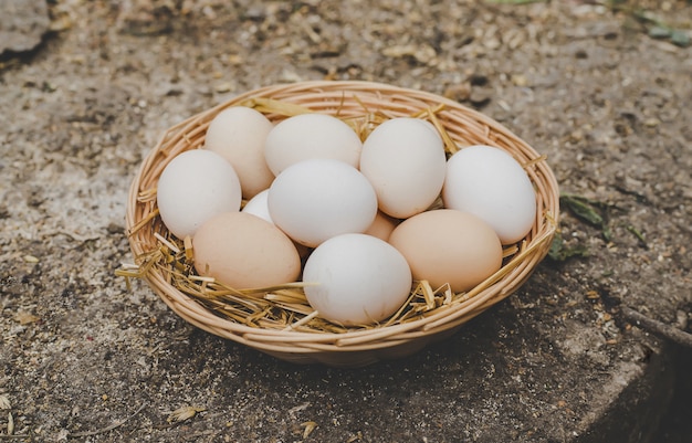 Uova di gallina fatte in casa in un cestino