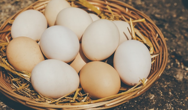 Uova di gallina fatte in casa in un cestino