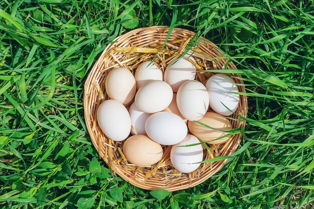 Uova di gallina fatte in casa in un cestino