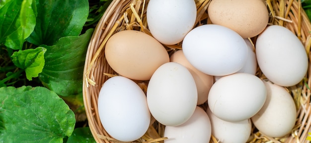 Uova di gallina fatte in casa in un cestino