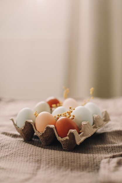 uova di gallina fresche di sfumature naturali e colori su sfondo bianco Felice concetto di Pasqua