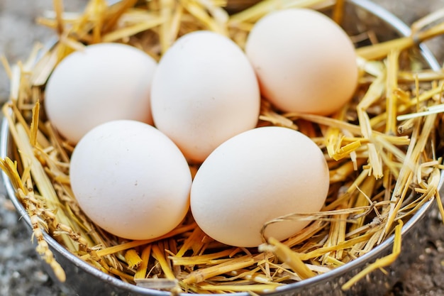 Uova di gallina fresche nel fieno in una fattoria. Messa a fuoco selettiva