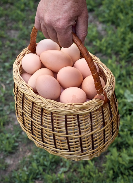 Uova di gallina fresche.