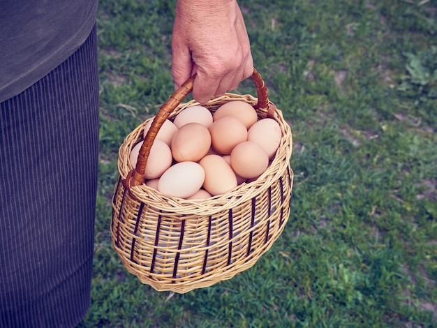 Uova di gallina in un cestino.