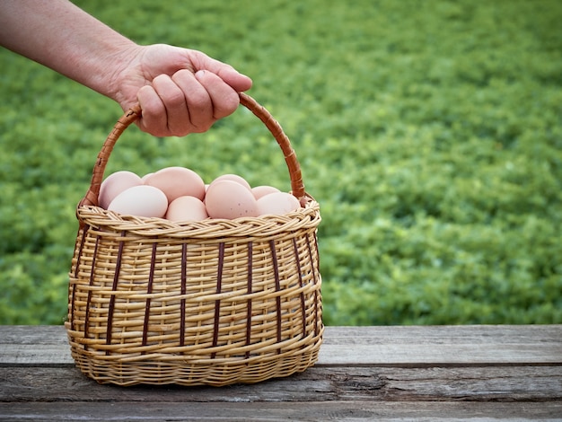 Uova di gallina in un cestino.