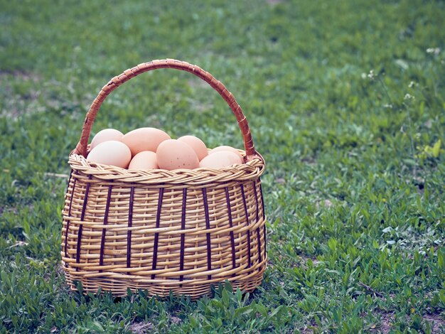 Uova di gallina in un cestino.