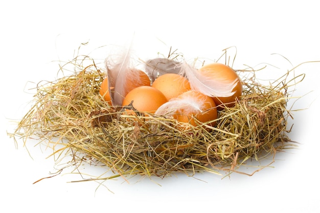 Uova di gallina in un nido isolato su bianco