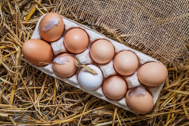 uova di gallina in un vassoio e un primo piano di fieno