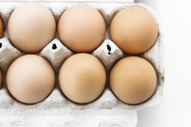 uova di gallina marroni su sfondo verde della natura