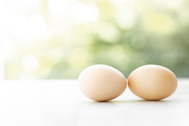 uova di gallina marroni su sfondo verde della natura