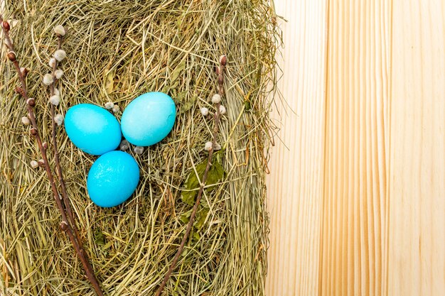 Uova di Pasqua blu in un nido