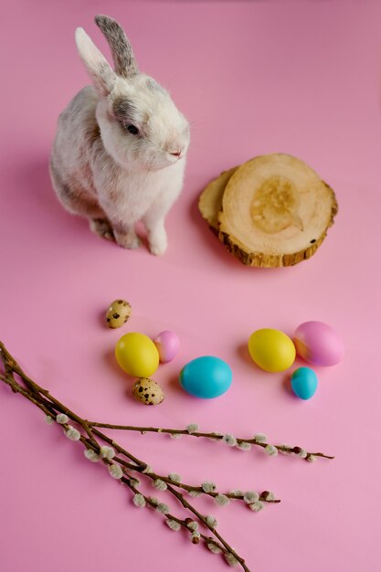 Uova di Pasqua colorate e coniglio su sfondo rosa