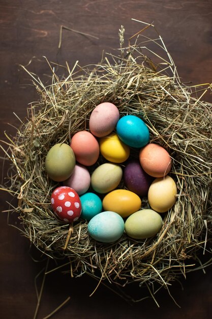 Uova di Pasqua colorate in un nido Buona Pasqua