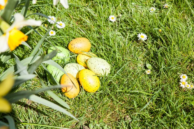 Uova di Pasqua colorate nascoste in fiori ed erba