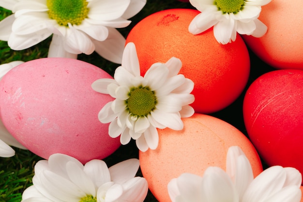 Uova di Pasqua colorate su erba decorata con i fiori