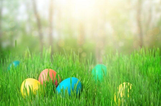 Uova di Pasqua colorate su erba verde e sfondo sfocato giardino soleggiato Copia spazio