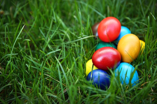 Uova di Pasqua colorate sull'erba verde in primo piano