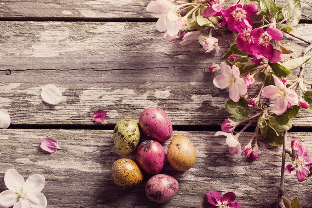 Uova di Pasqua Con i fiori della mela su fondo di legno