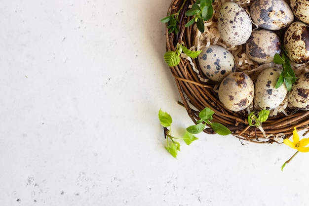 Uova di Pasqua della quaglia con le foglie verdi della molla in nido.