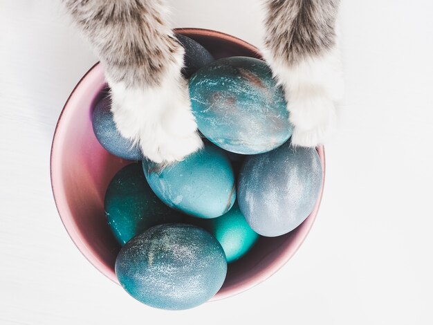 Uova di Pasqua dipinte con colori vivaci e un affascinante gattino