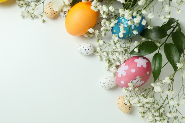 Uova di Pasqua e bellissimi fiori su sfondo bianco, spazio per il testo