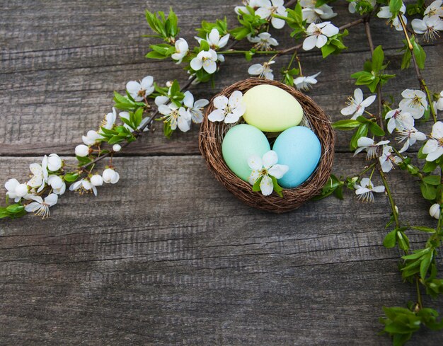 Uova di Pasqua E fiore di primavera