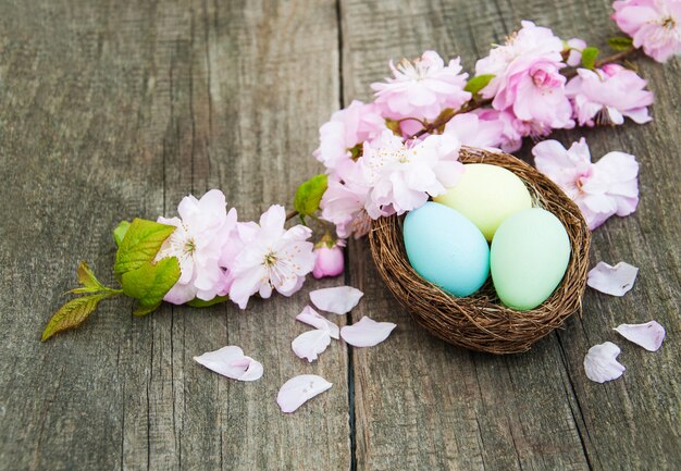 Uova di Pasqua E fiore di sakura