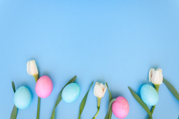 Uova di Pasqua E fiori della sorgente sull'azzurro