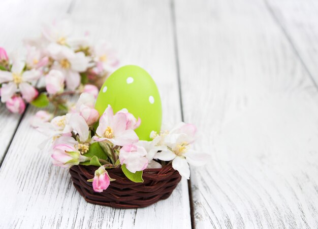 Uova di Pasqua E fiori di melo