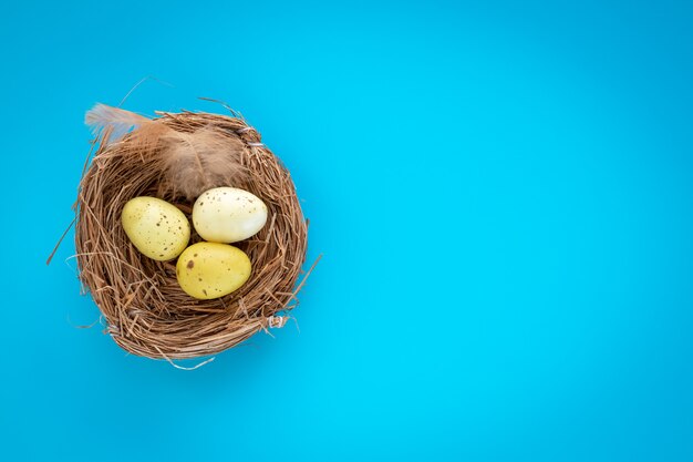 Uova di Pasqua gialle in un nido su una priorità bassa blu.