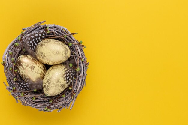 Uova di Pasqua nel nido Cartolina d'auguri di primavera