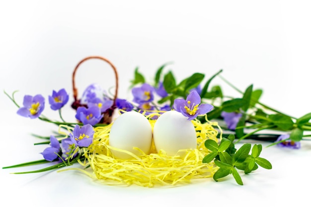 Uova di Pasqua nel nido e fiori di primavera su uno sfondo biancoBuon concetto di pasqua