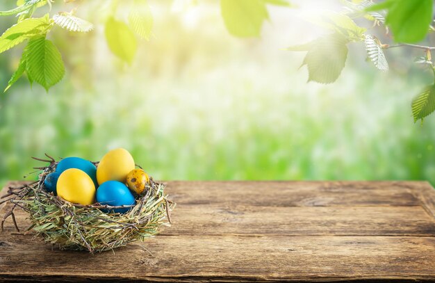 Uova di Pasqua nel nido verde su tavola di legno su bakground naturale sfocato. Copia spazio. Foto di alta qualità